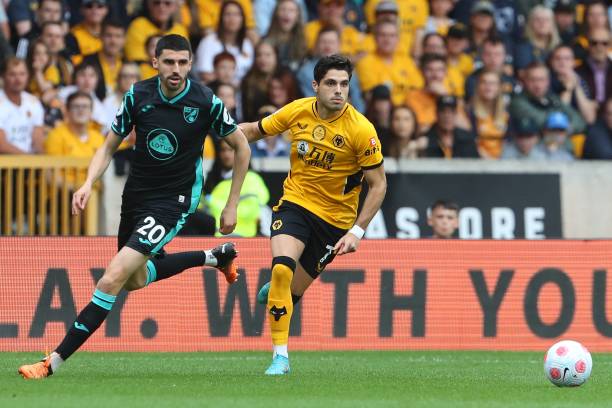 希望粉丝们 希望粉丝们